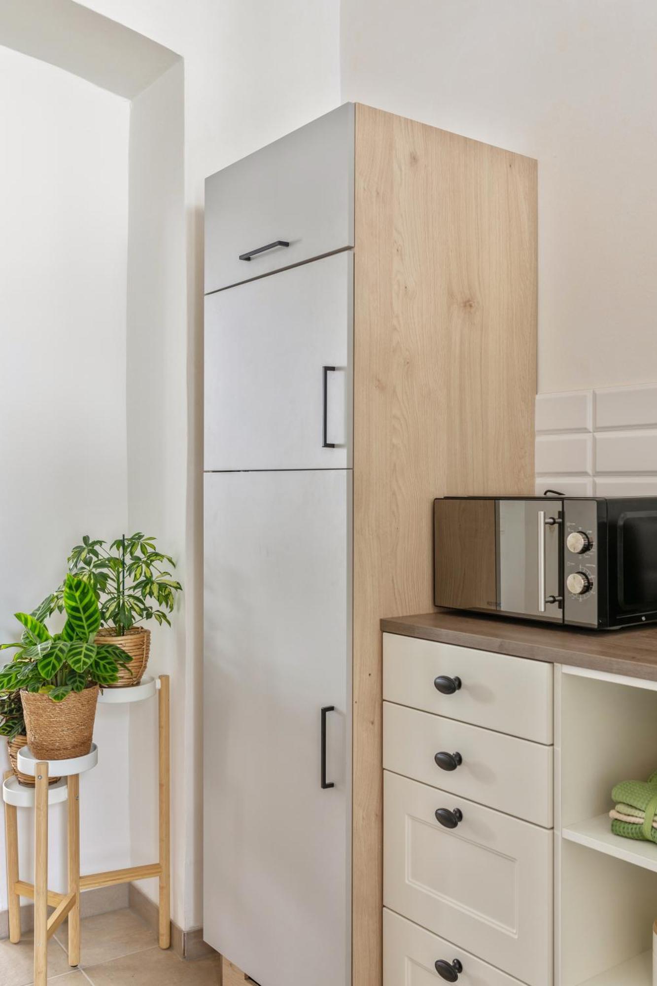 Apartment Botanika